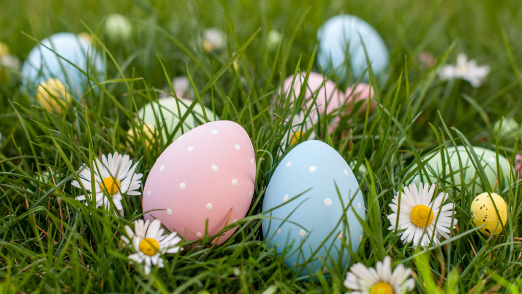 easter eggs in green field with flowers